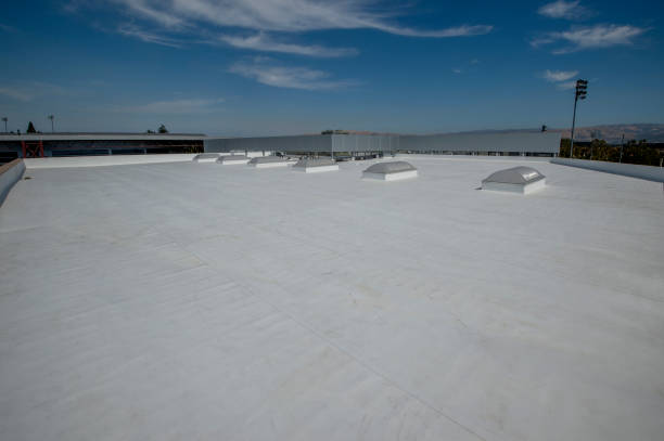 Best Commercial Roofing Services  in Louise, TX