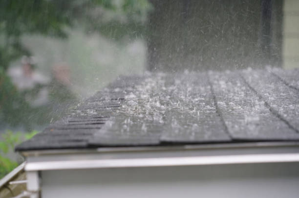 Best Roof Ventilation Installation  in Louise, TX