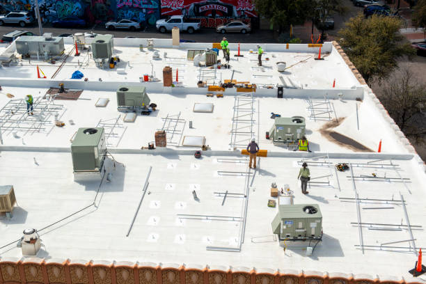 Best Emergency Roof Repair Services  in Louise, TX