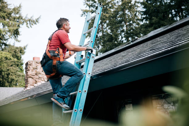 Best Metal Roofing Installation  in Louise, TX